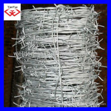 galvanised barbed wire( ANPING exporter and factory)